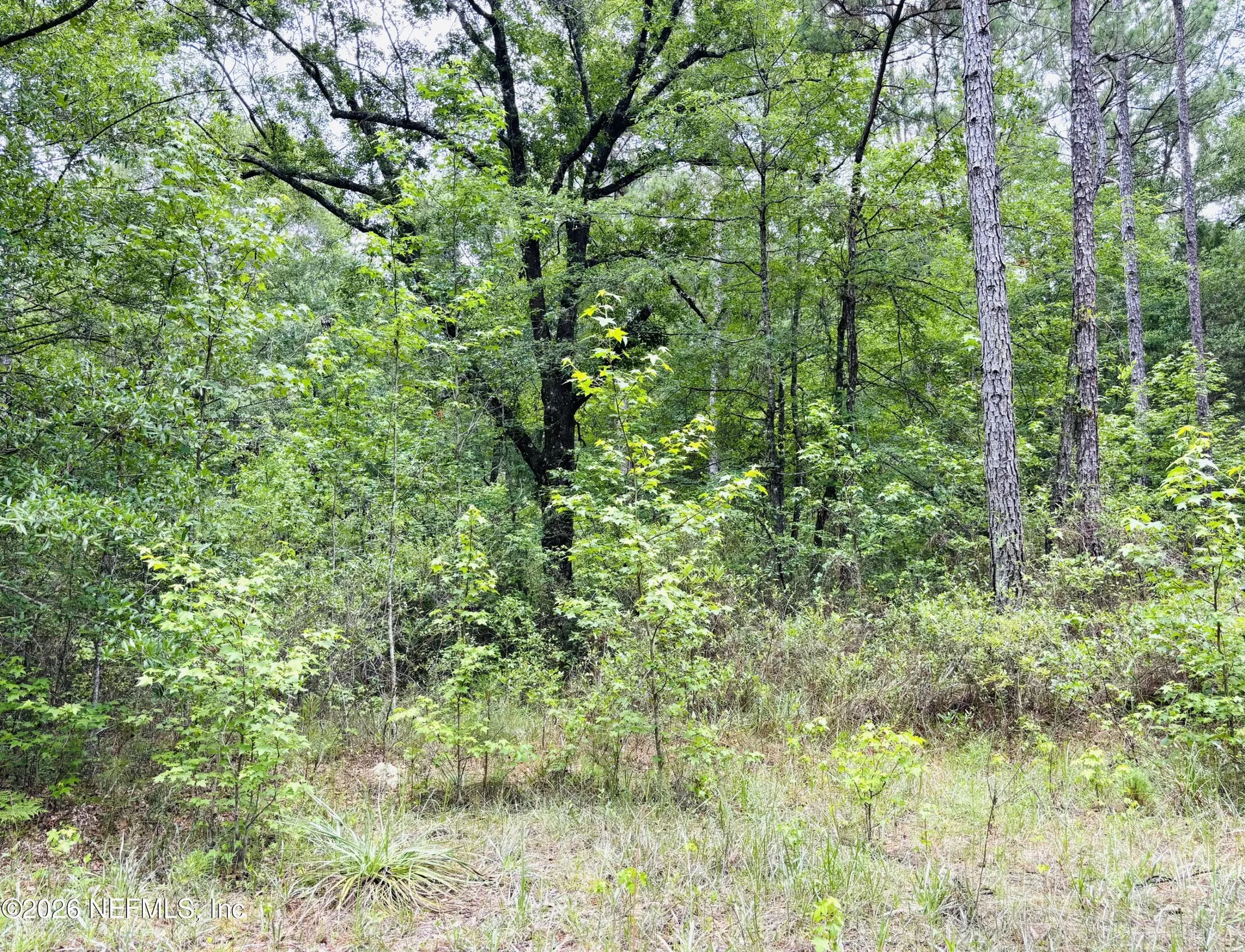 0 Lake Hampton Hilliard FL 32046