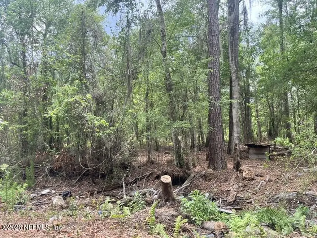 0 NW County Road 229 Starke FL 32091