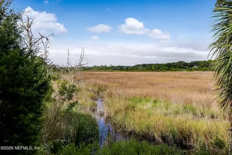 2158 Hibiscus Court Fernandina Beach FL 32034