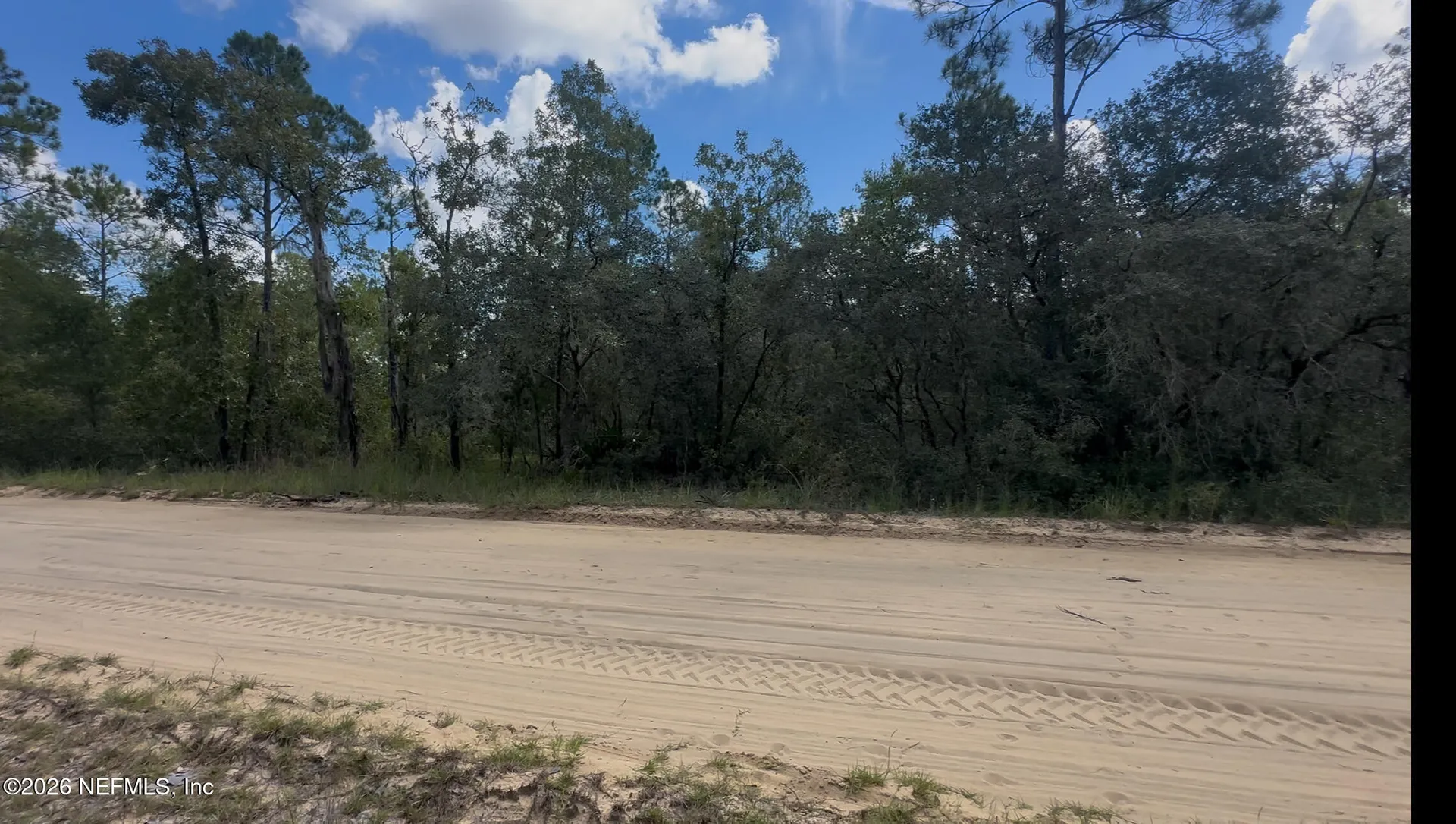 112 Brass Street Interlachen FL 32148