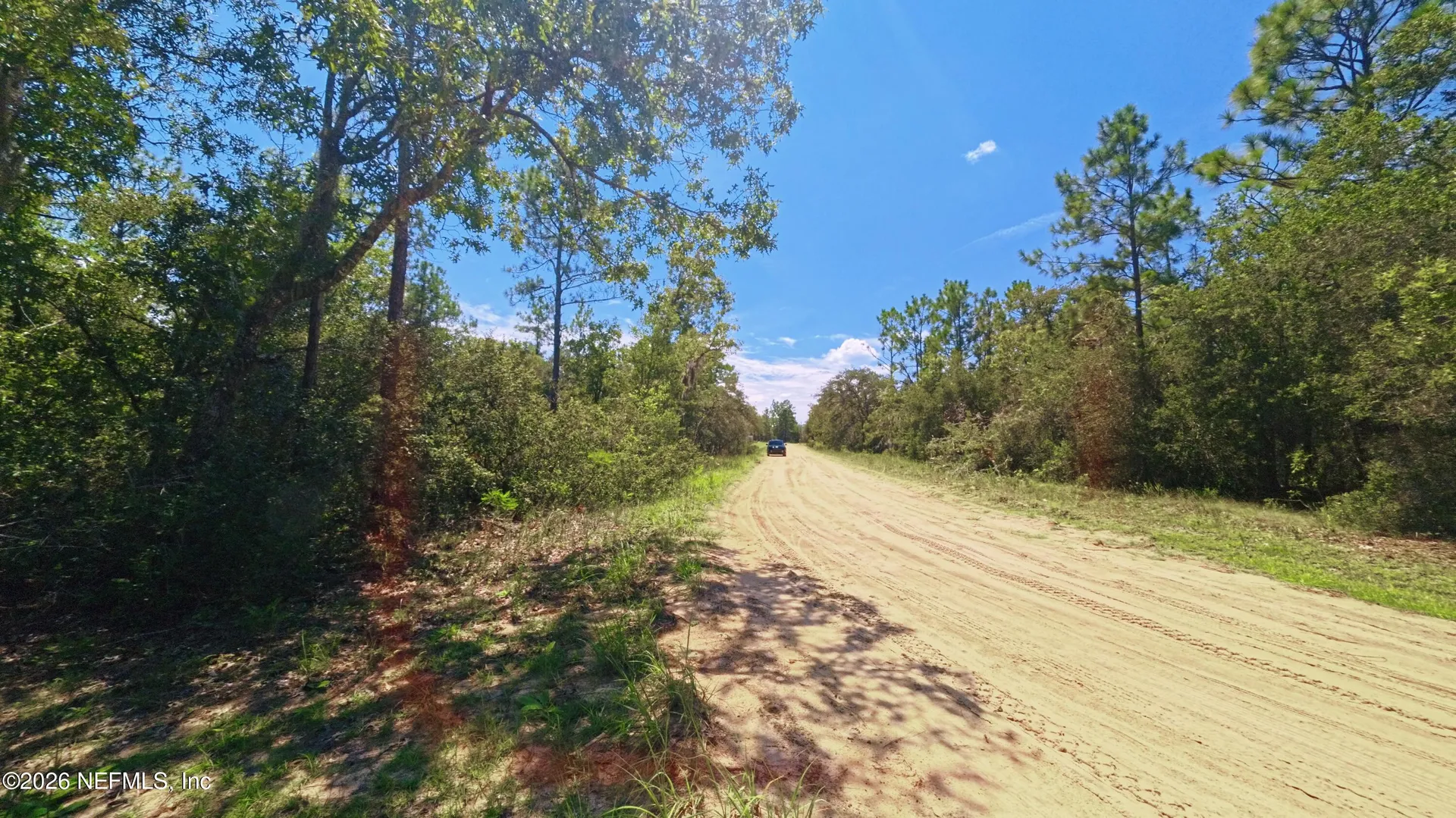 112 Brass Street Interlachen FL 32148