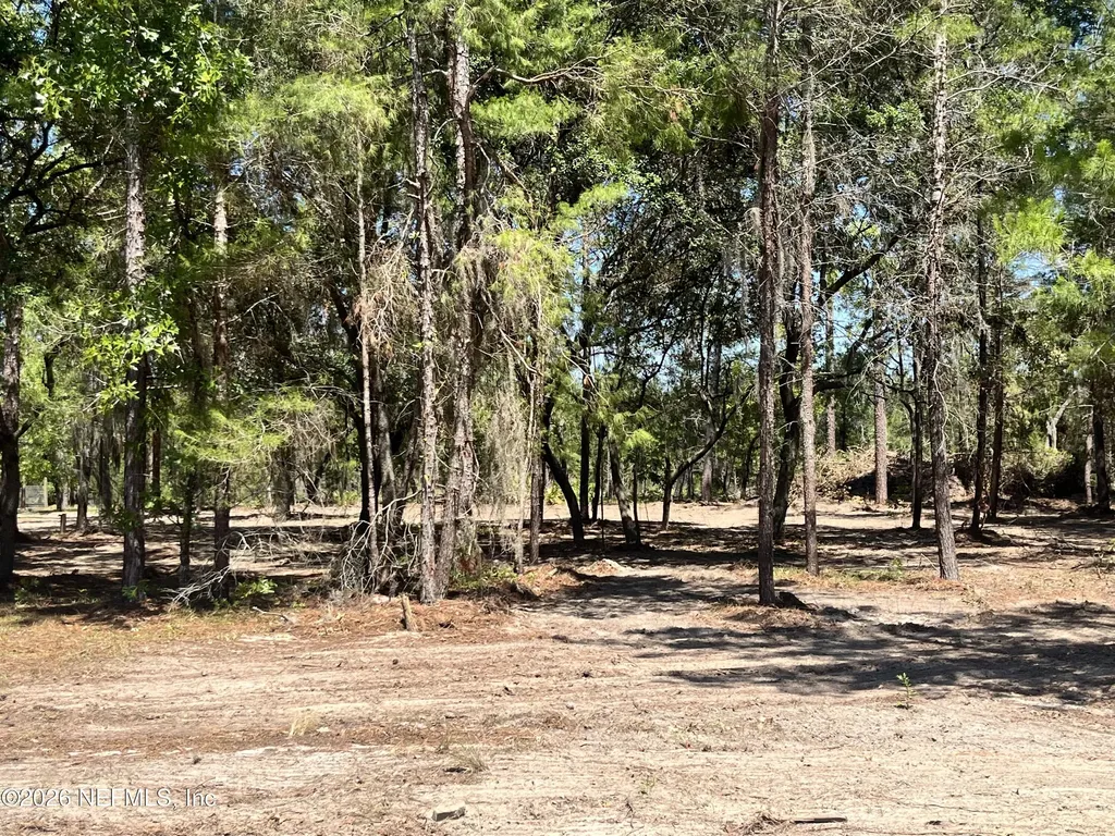 219 Magnolia Road Hawthorne FL 32640