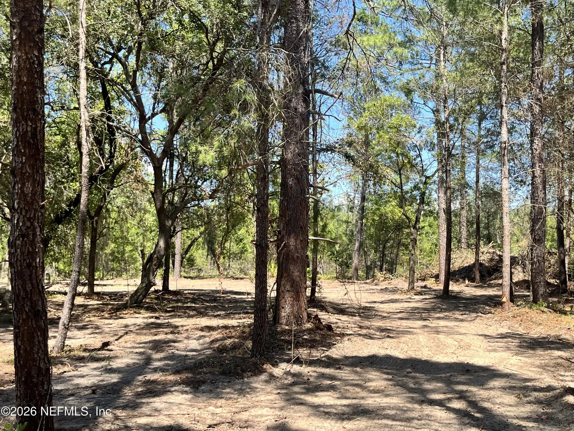 219 Magnolia Road Hawthorne FL 32640