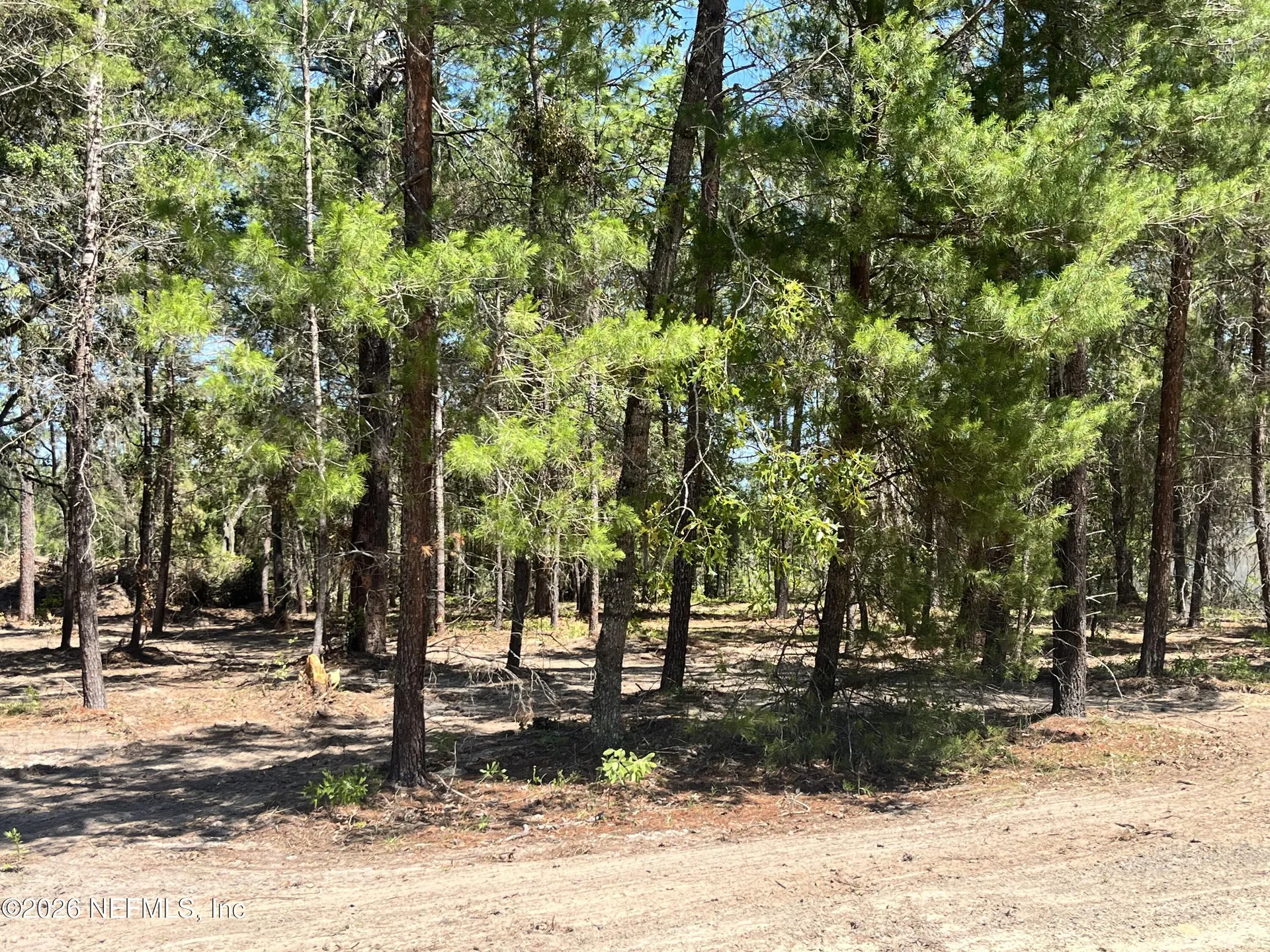 219 Magnolia Road Hawthorne FL 32640
