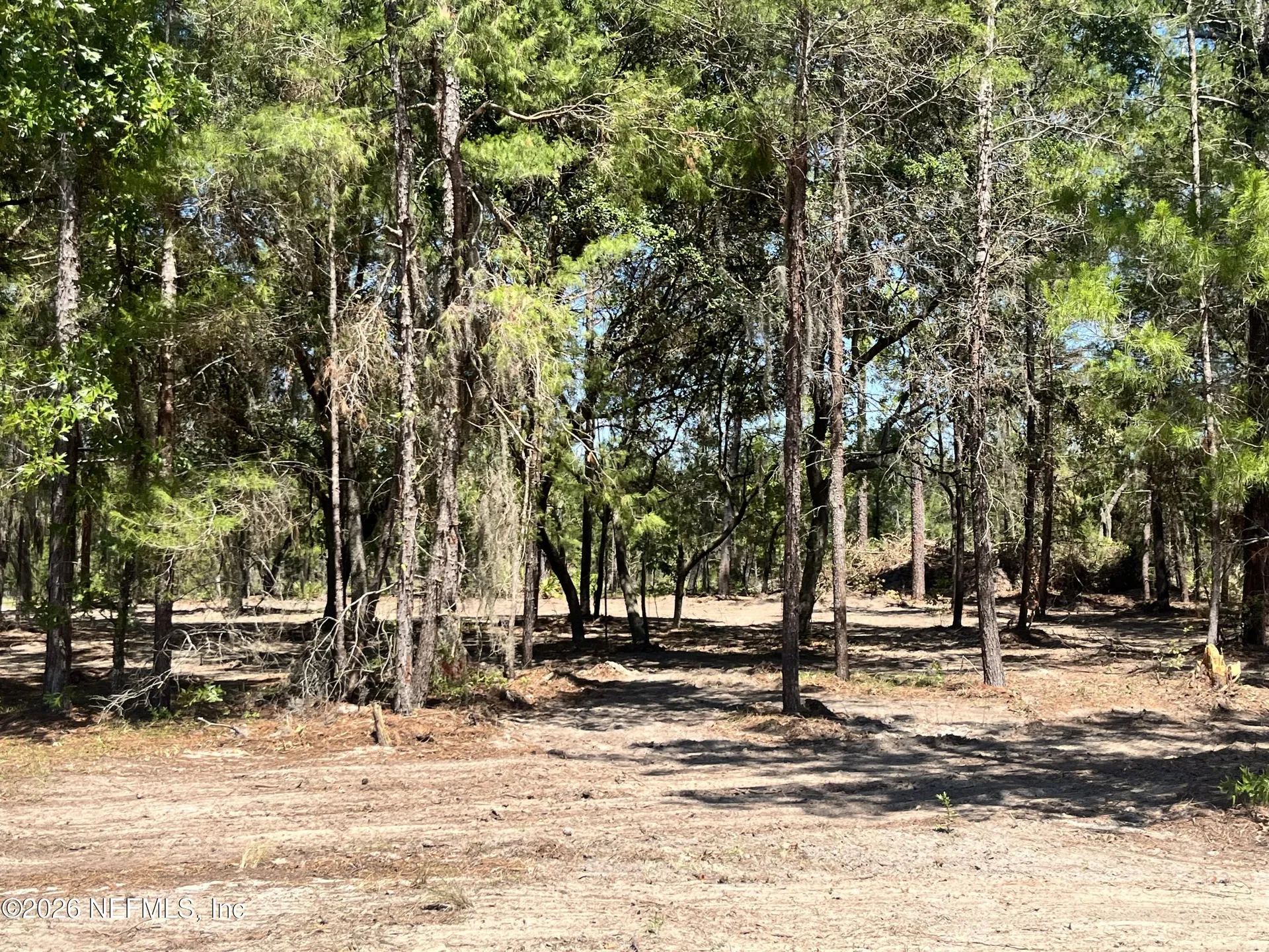 219 Magnolia Road Hawthorne FL 32640