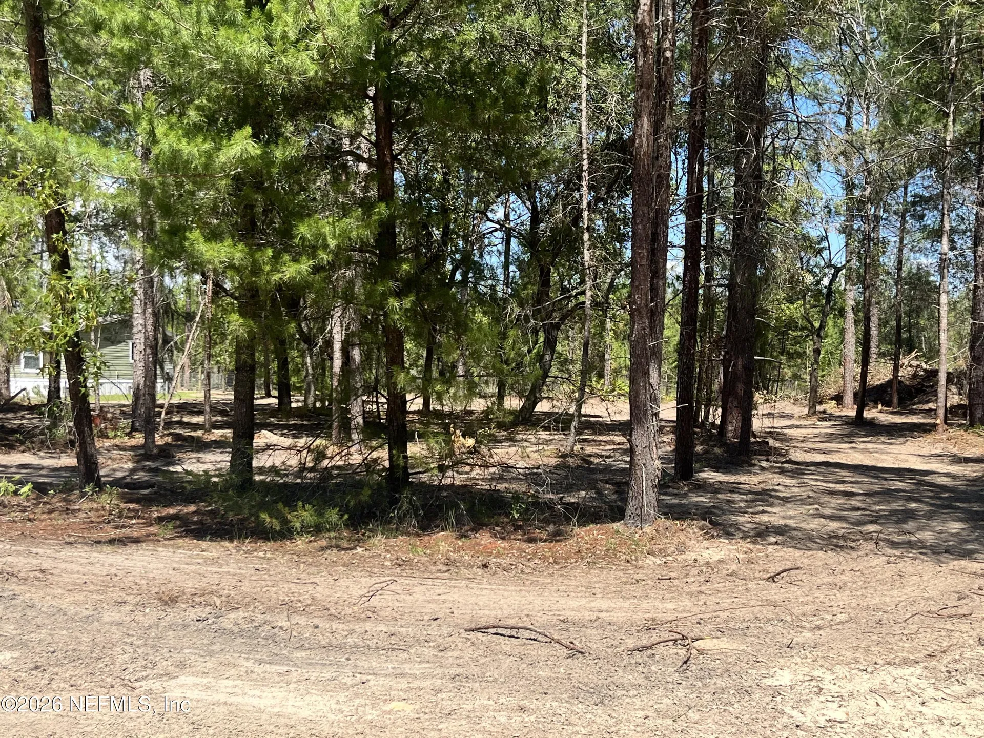 219 Magnolia Road Hawthorne FL 32640