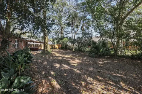 3917 Tara Hall Drive Jacksonville FL 32277