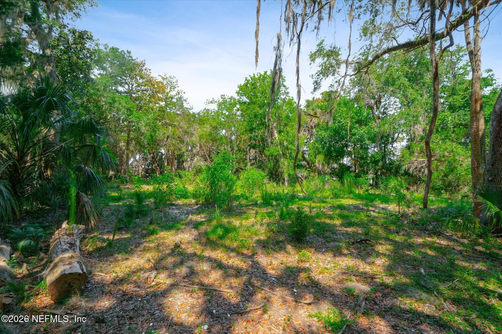 10474 Salt Marsh Trail Jacksonville FL 32226
