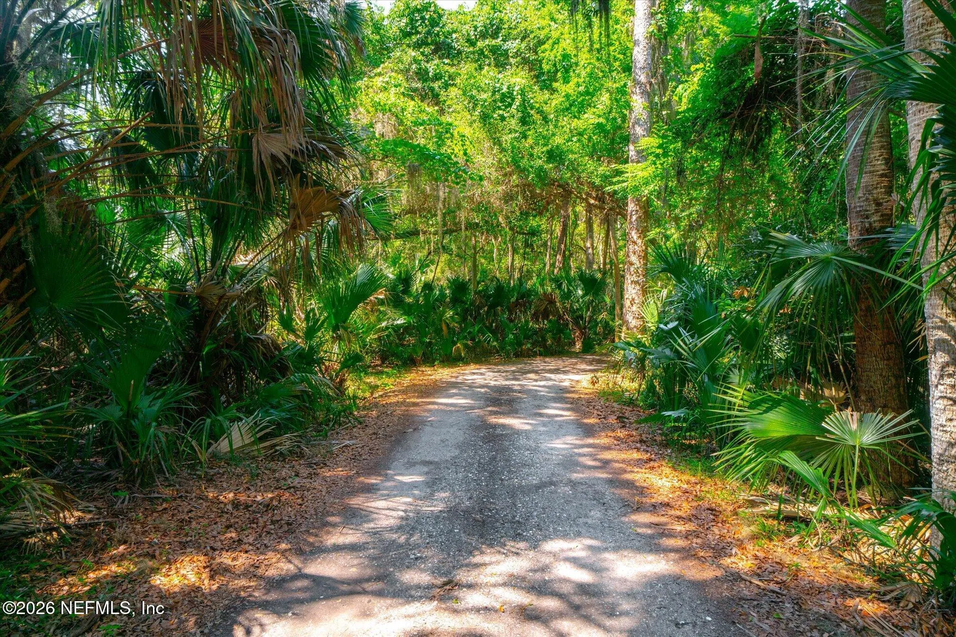 10474 Salt Marsh Trail Jacksonville FL 32226