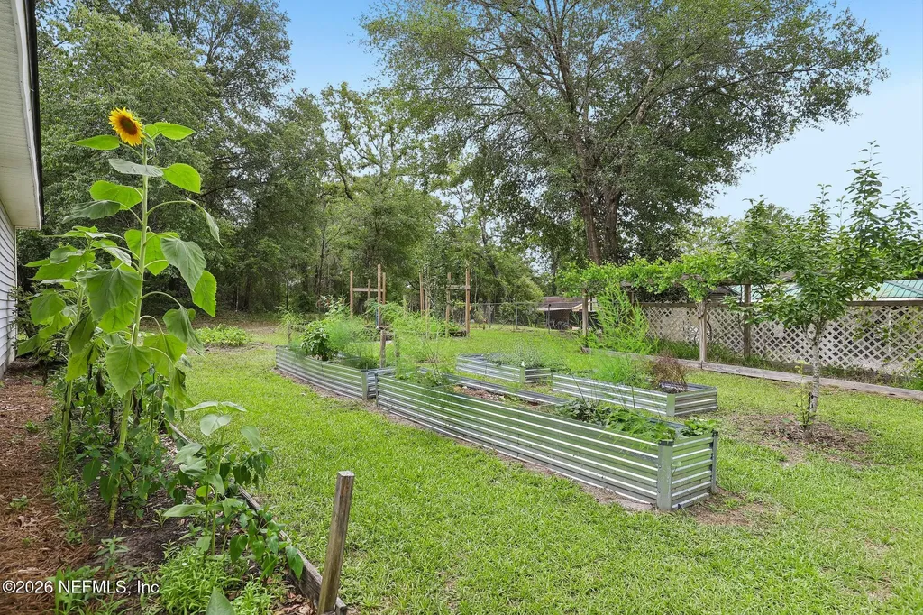 4379 Tarragon Avenue Middleburg FL 32068