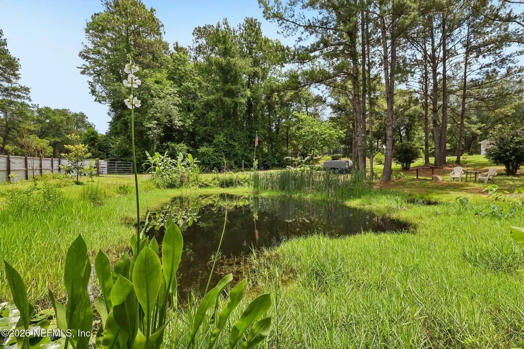 4379 Tarragon Avenue Middleburg FL 32068