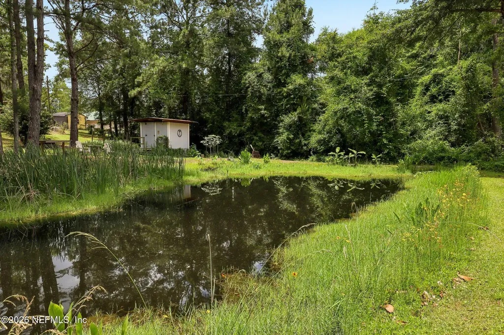 4379 Tarragon Avenue Middleburg FL 32068