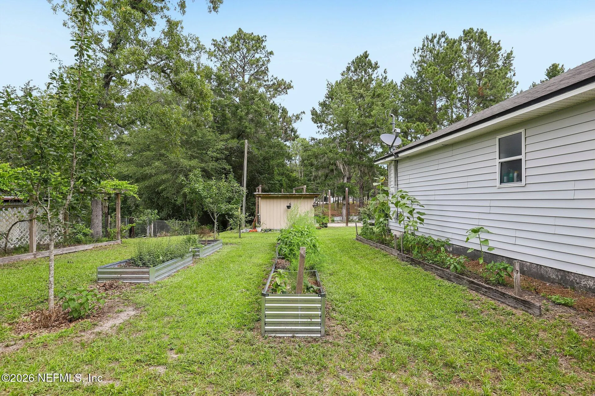 4379 Tarragon Avenue Middleburg FL 32068