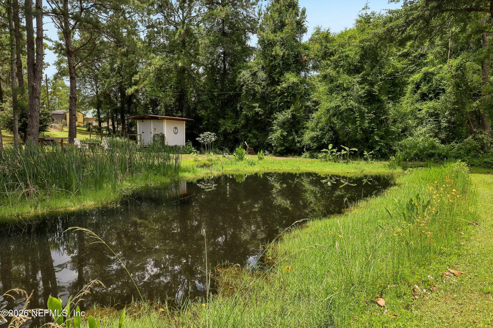4379 Tarragon Avenue Middleburg FL 32068