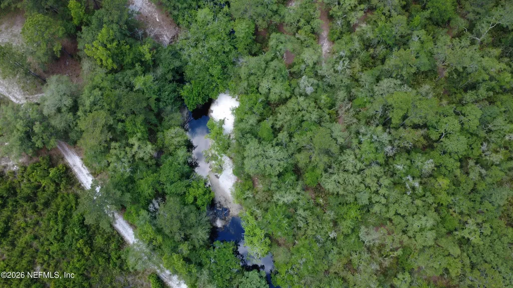 21315 S Carl Brown Road Sanderson FL 32087