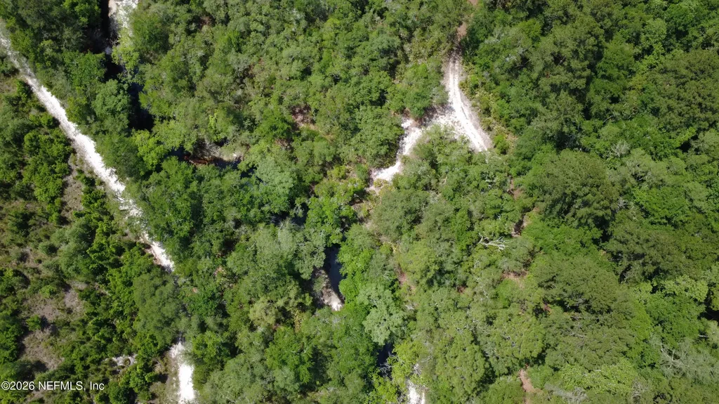 21315 S Carl Brown Road Sanderson FL 32087