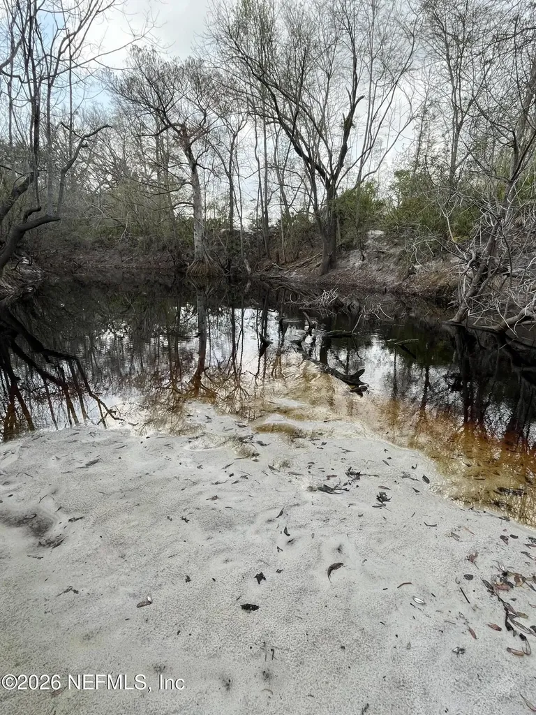 21315 S Carl Brown Road Sanderson FL 32087