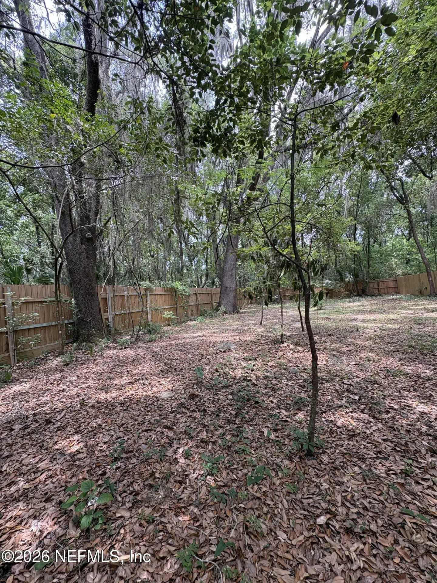 1224 NE 3rd Avenue Gainesville FL 32641