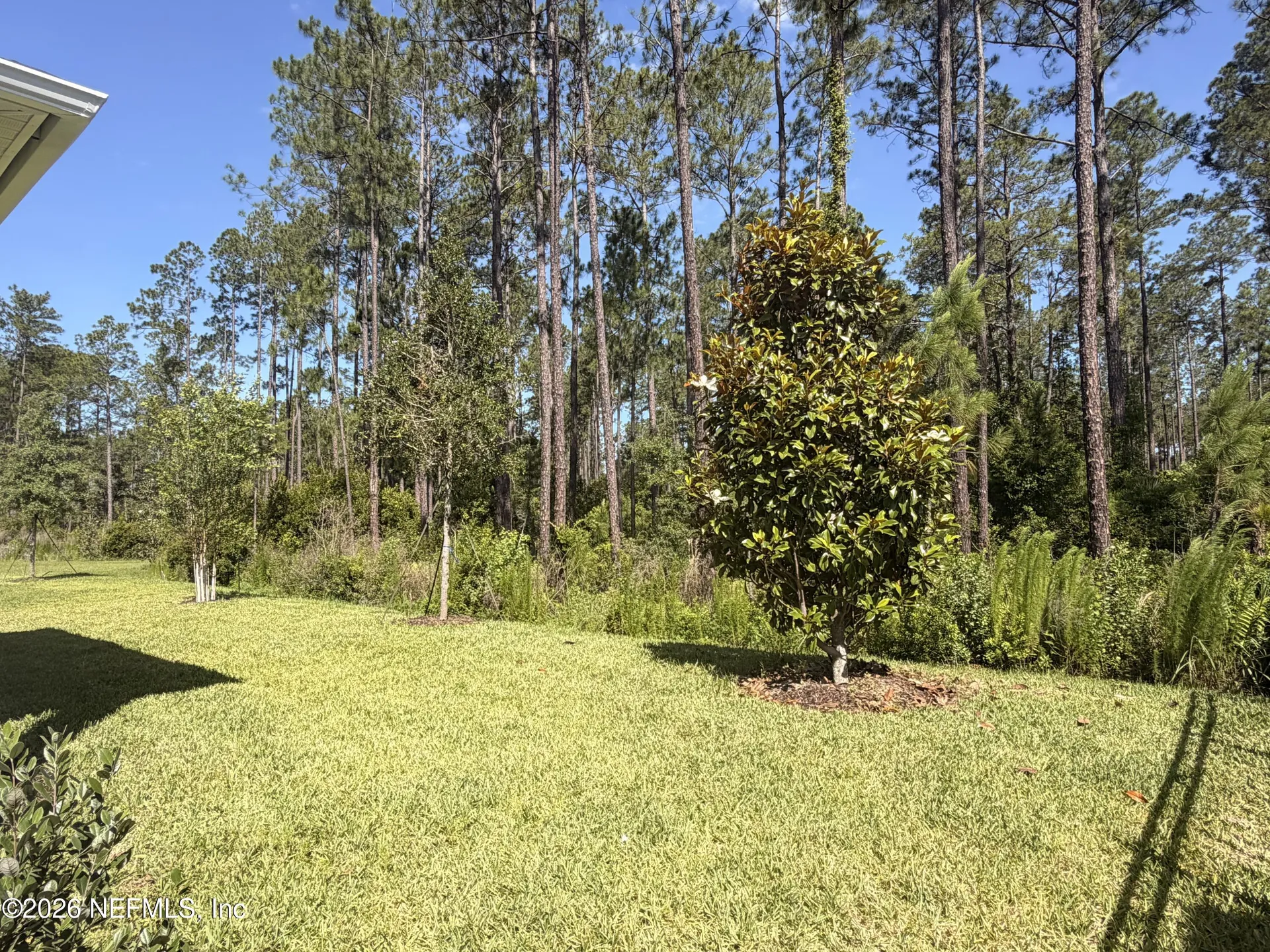 39 Mason Br Drive St. Augustine FL 32259