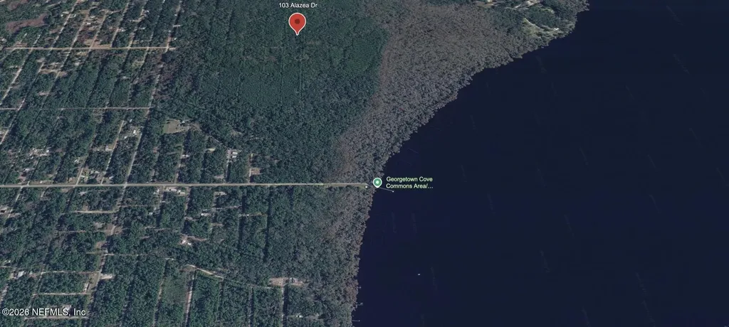 103 Azalea Drive Georgetown FL 32139