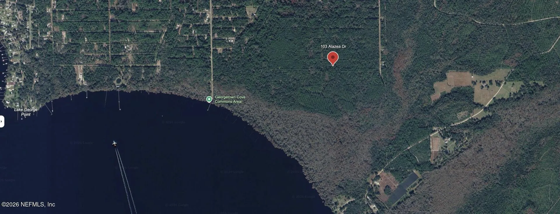 103 Azalea Drive Georgetown FL 32139