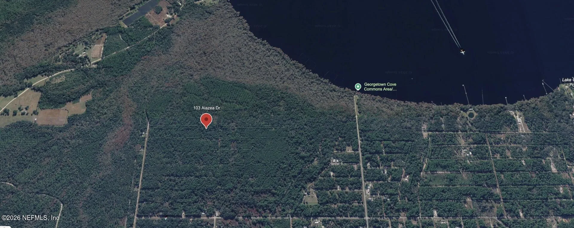 103 Azalea Drive Georgetown FL 32139