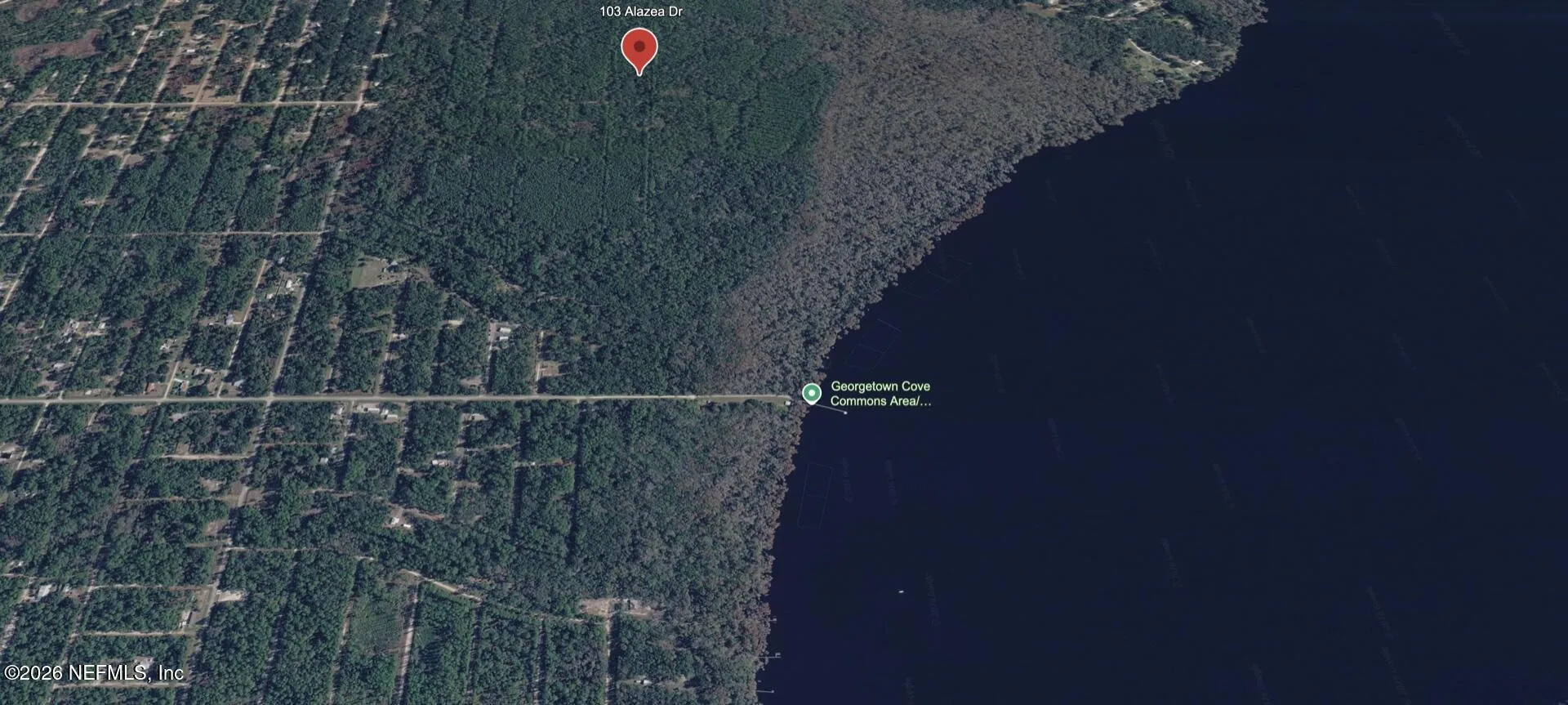 103 Azalea Drive Georgetown FL 32139