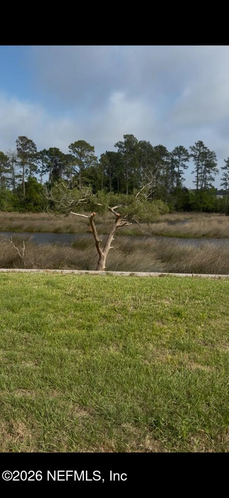12704 N Windy Willows Drive Jacksonville FL 32225