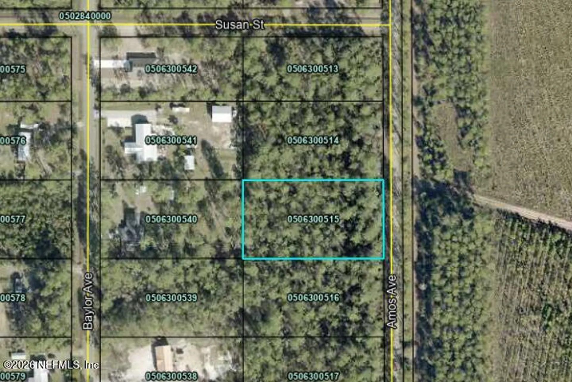 10225 Amos Avenue Hastings FL 32145