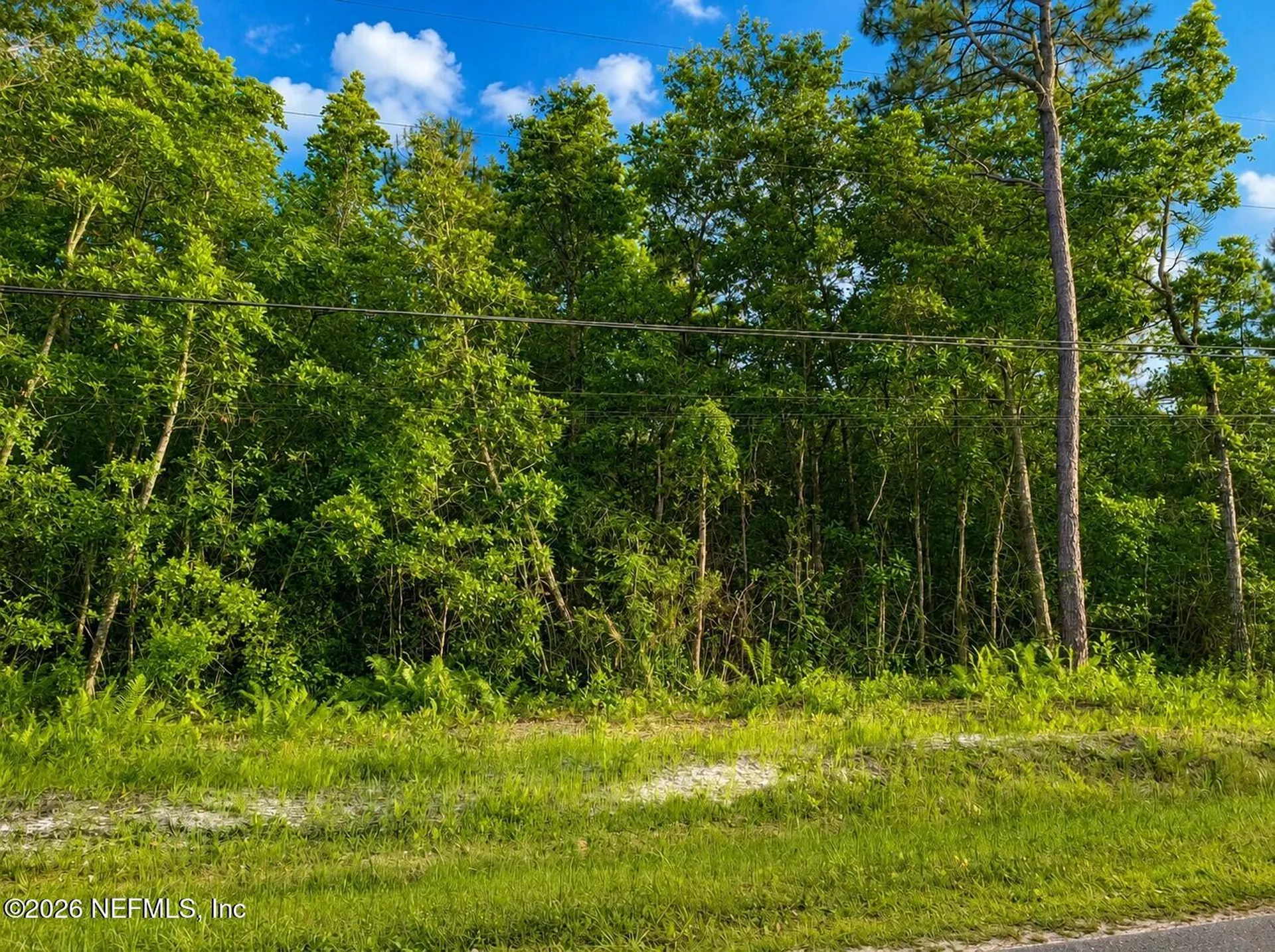 4311 Angora Street Middleburg FL 32068