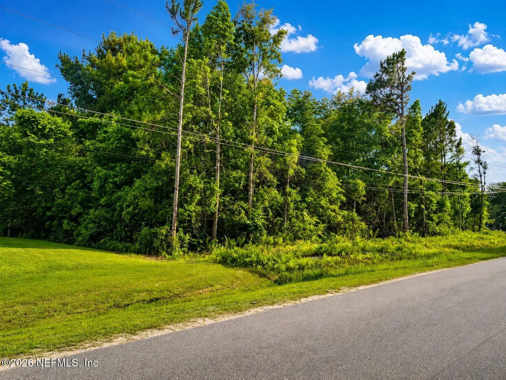 4311 Angora Street Middleburg FL 32068