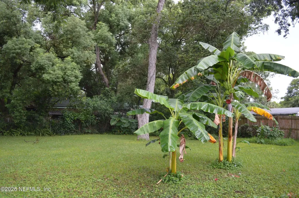 3660 Rosemary Street Jacksonville FL 32207