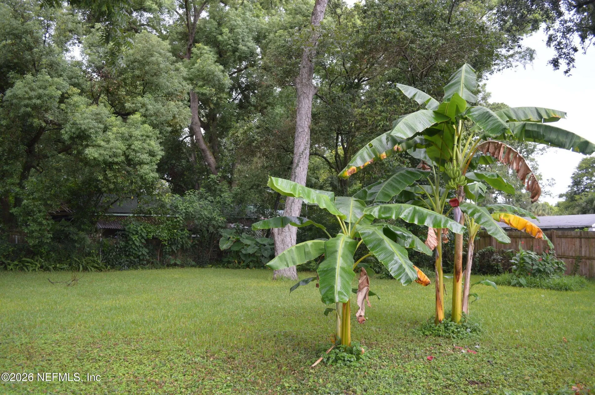 3660 Rosemary Street Jacksonville FL 32207
