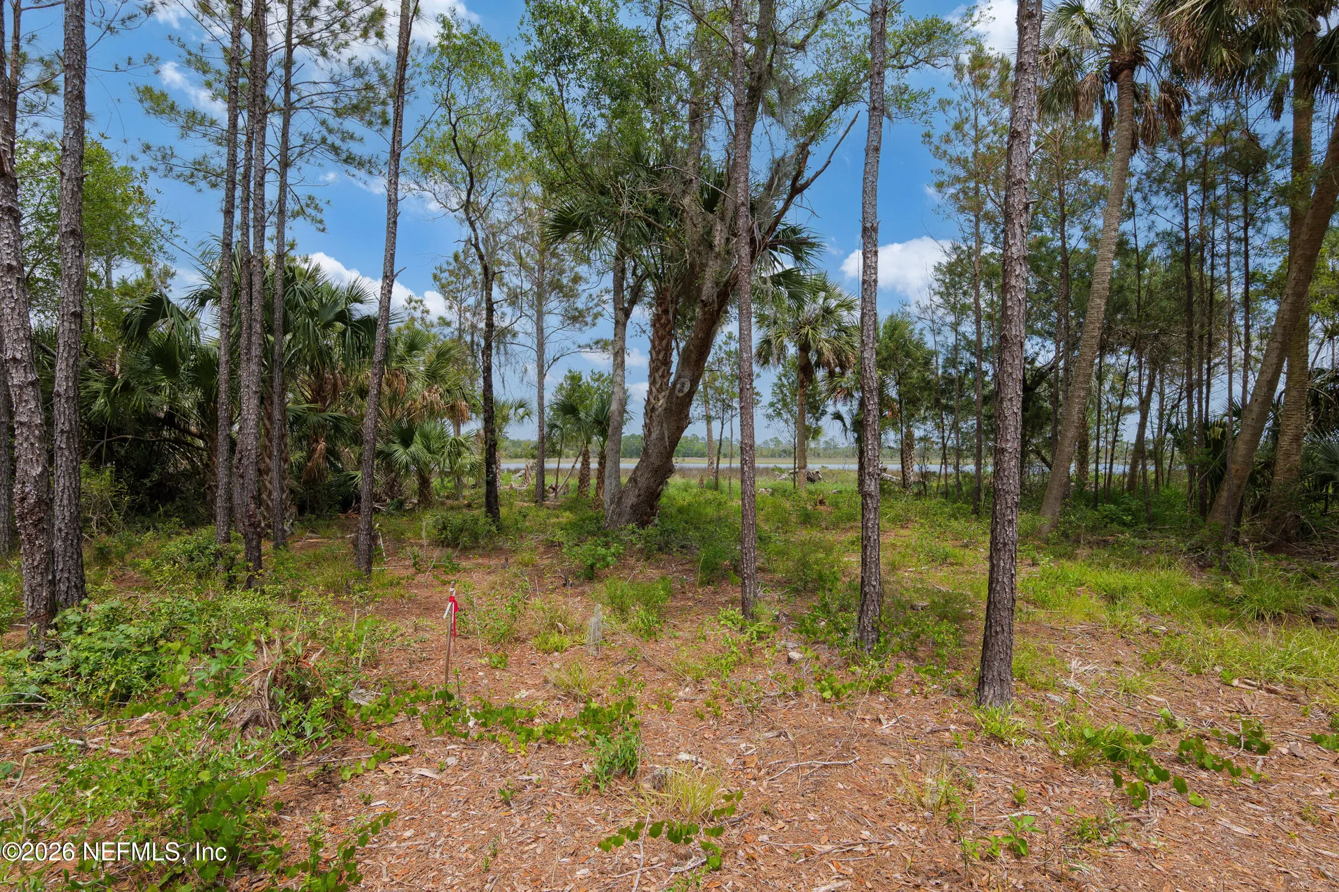 874 S Harbor Lights Drive Ponte Vedra FL 32081