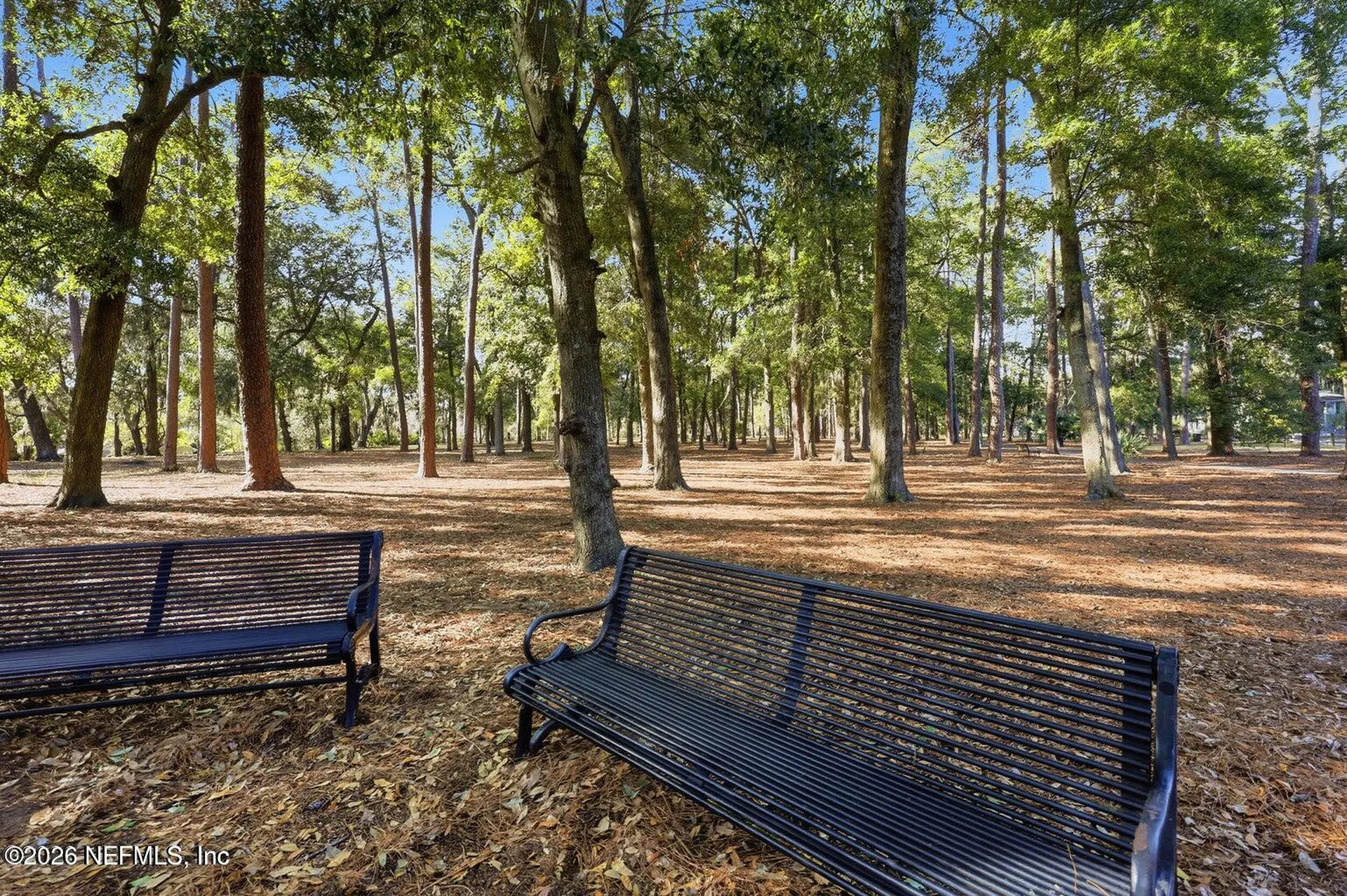 1630 Mayview Road Jacksonville FL 32210