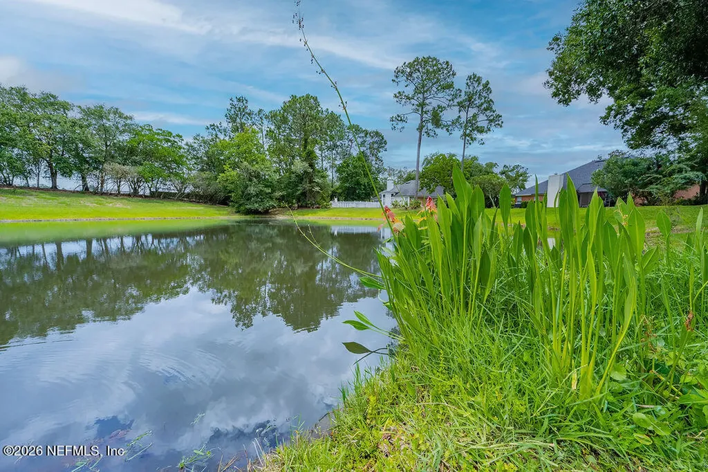 1573 Chain Fern Way Fleming Island FL 32003