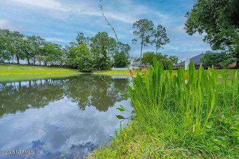 1573 Chain Fern Way Fleming Island FL 32003