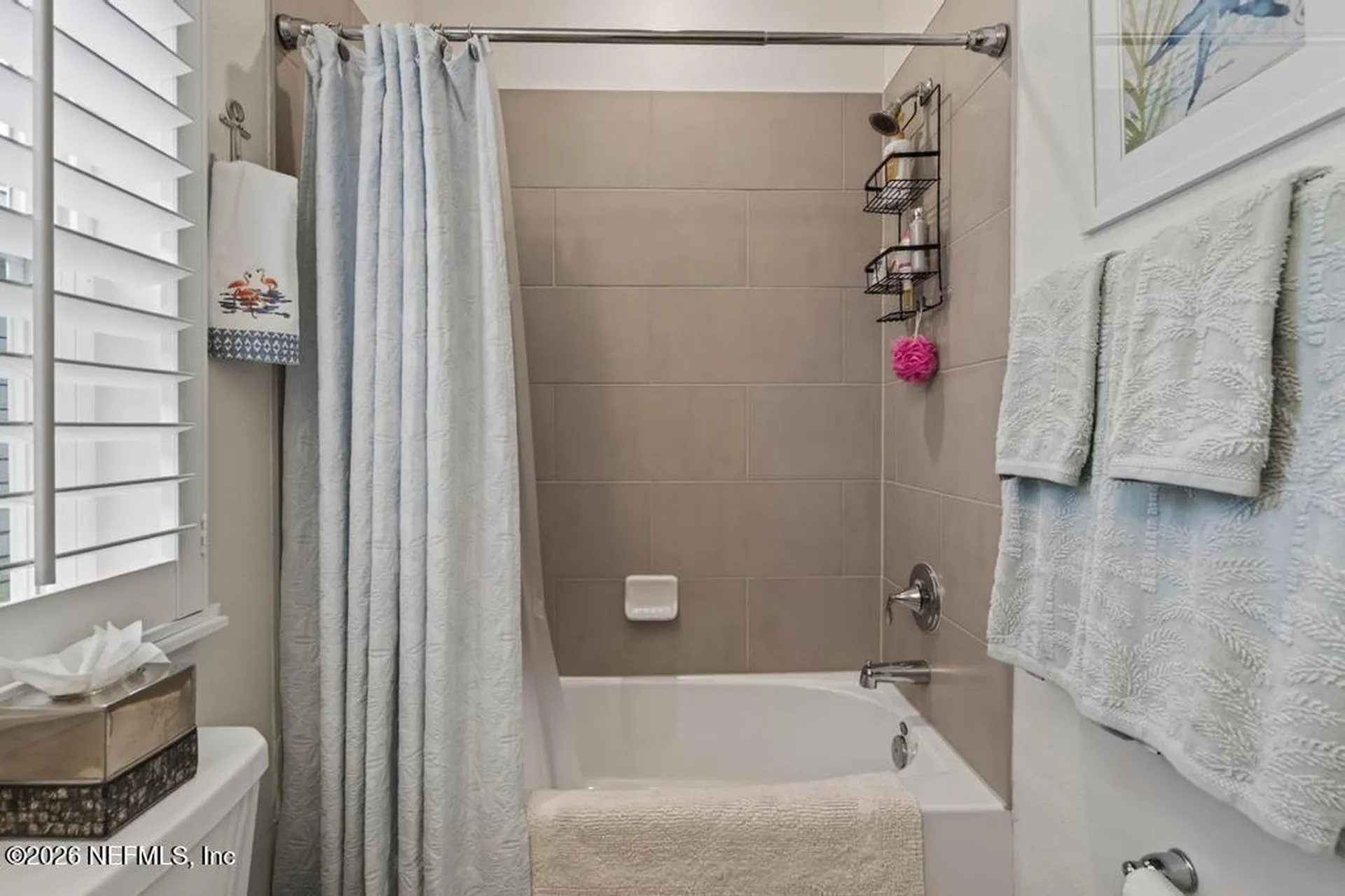 209 Rivercliff Trail St. Augustine FL 32092