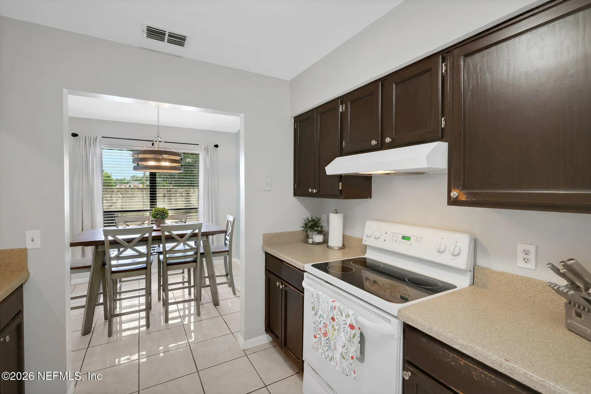 1969 Birch Run Run W Orange Park FL 32073