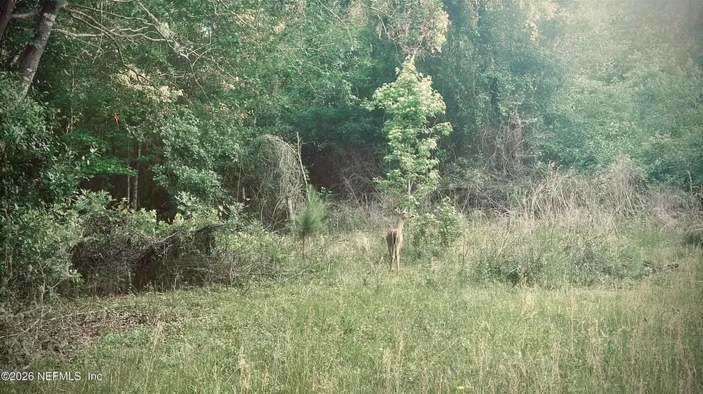 3923 Skipper Road Middleburg FL 32068