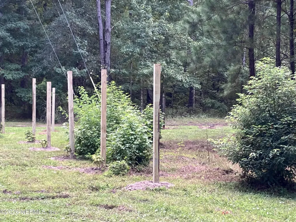 3923 Skipper Road Middleburg FL 32068