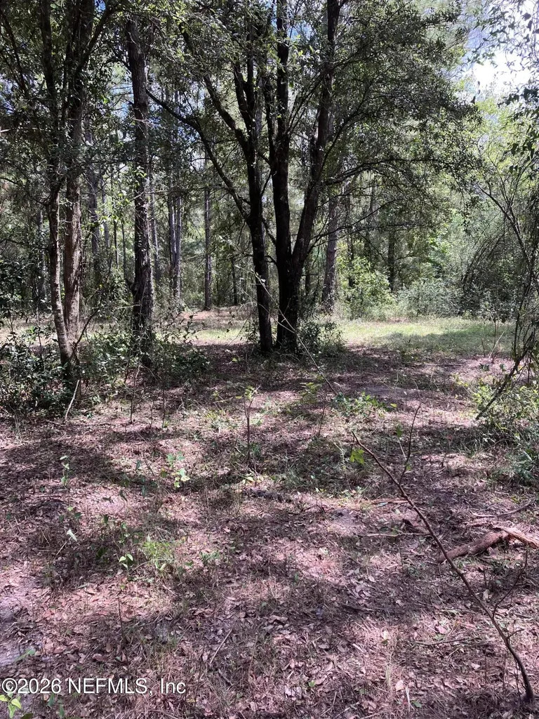3923 Skipper Road Middleburg FL 32068