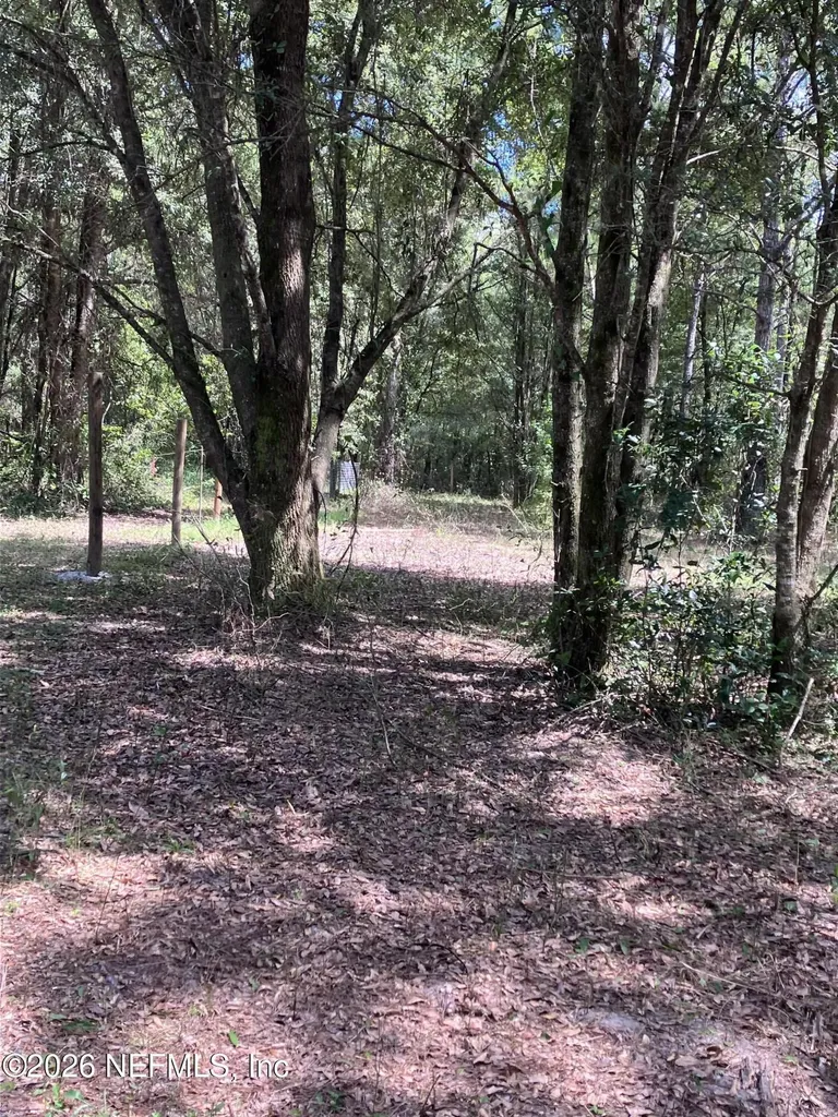 3923 Skipper Road Middleburg FL 32068