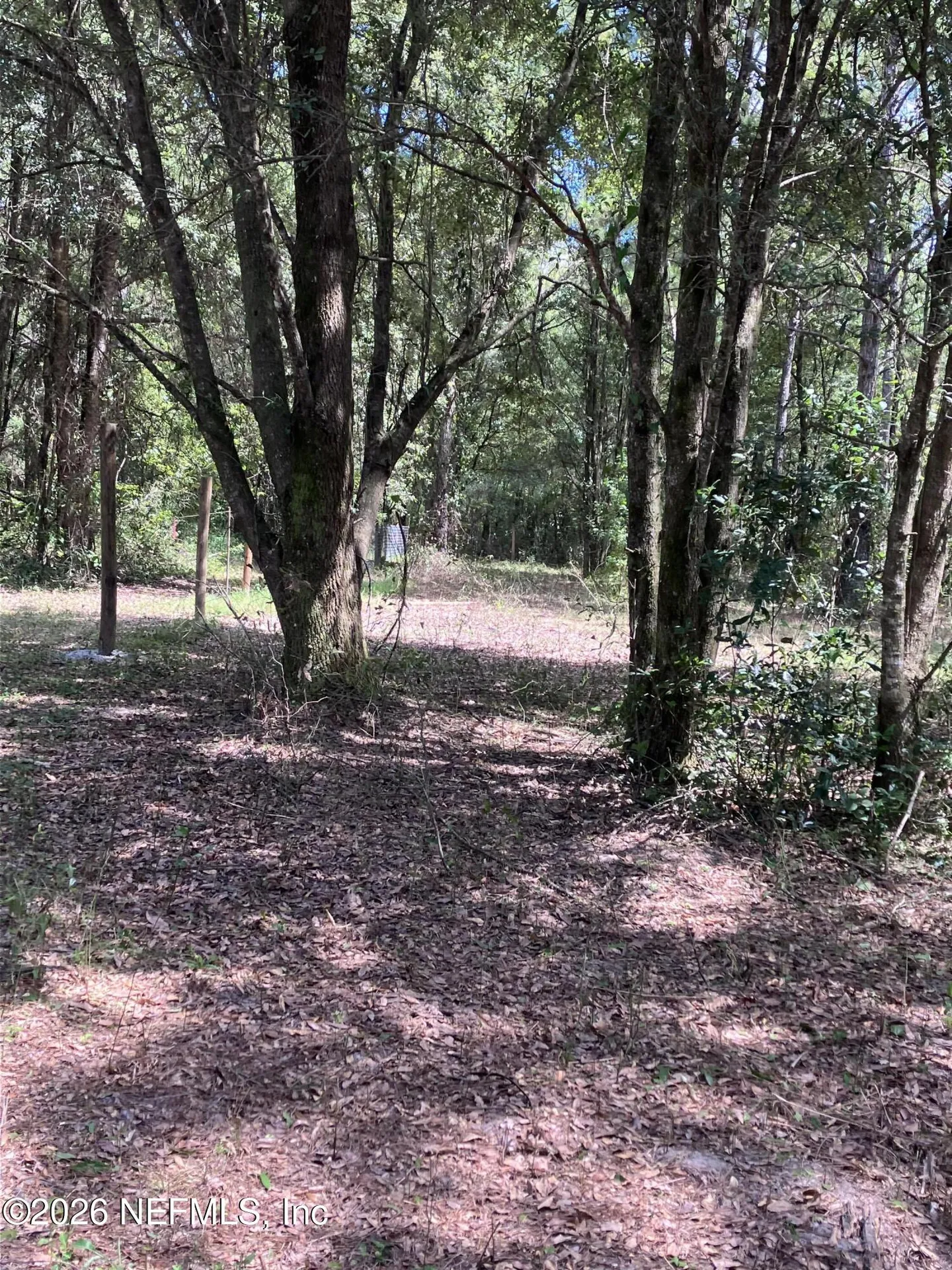 3923 Skipper Road Middleburg FL 32068