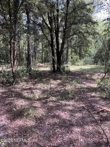 3923 Skipper Road Middleburg FL 32068