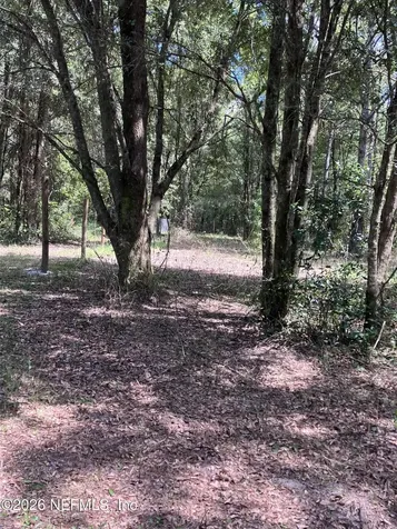 3923 Skipper Road Middleburg FL 32068