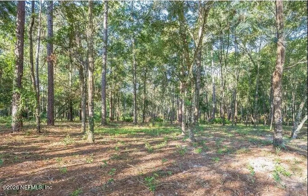 4843 Alligator Boulevard Middleburg FL 32068