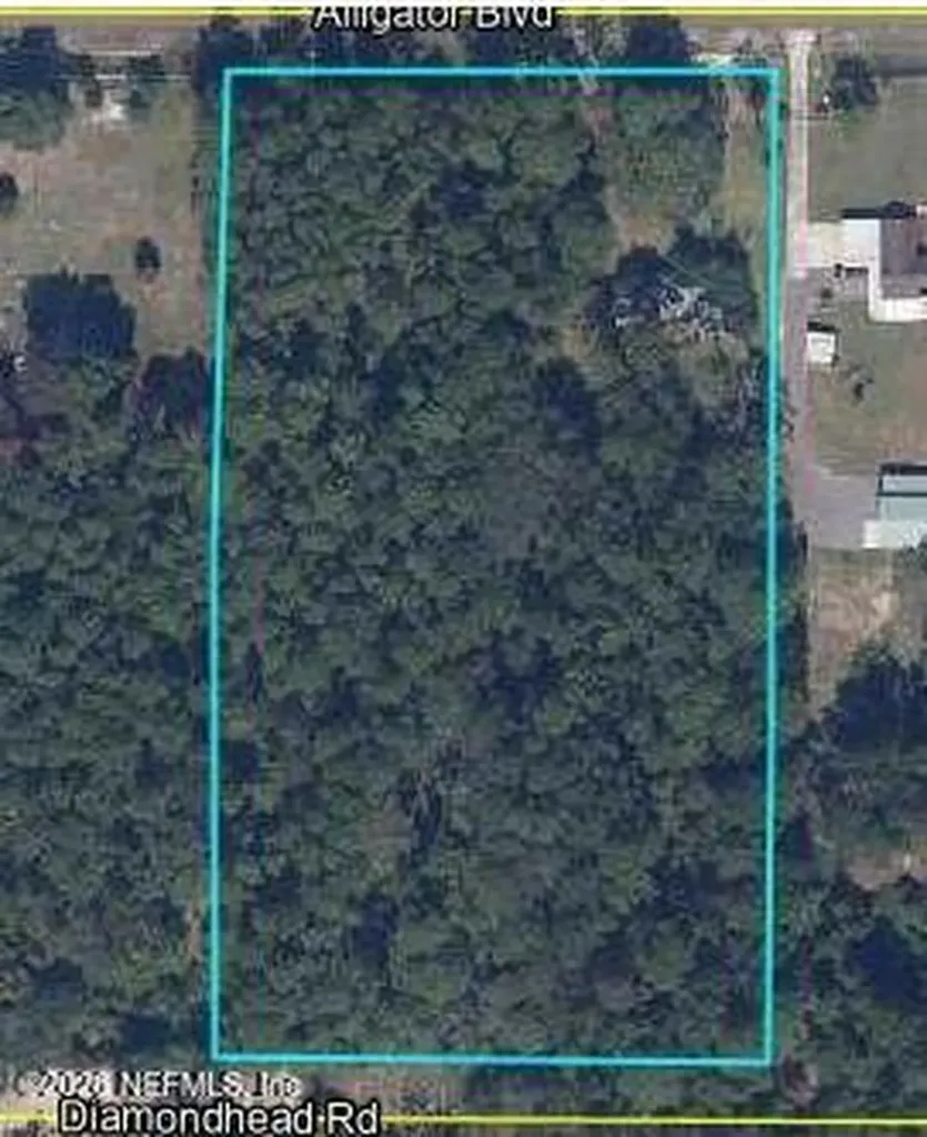 4843 Alligator Boulevard Middleburg FL 32068