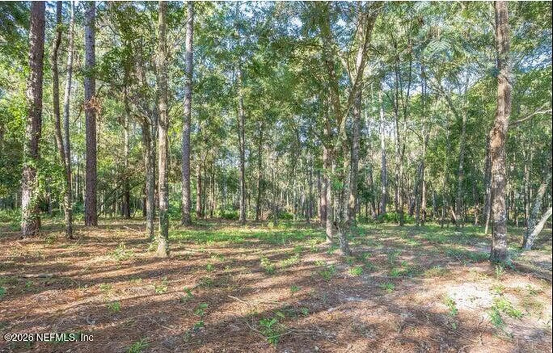 4843 Alligator Boulevard Middleburg FL 32068