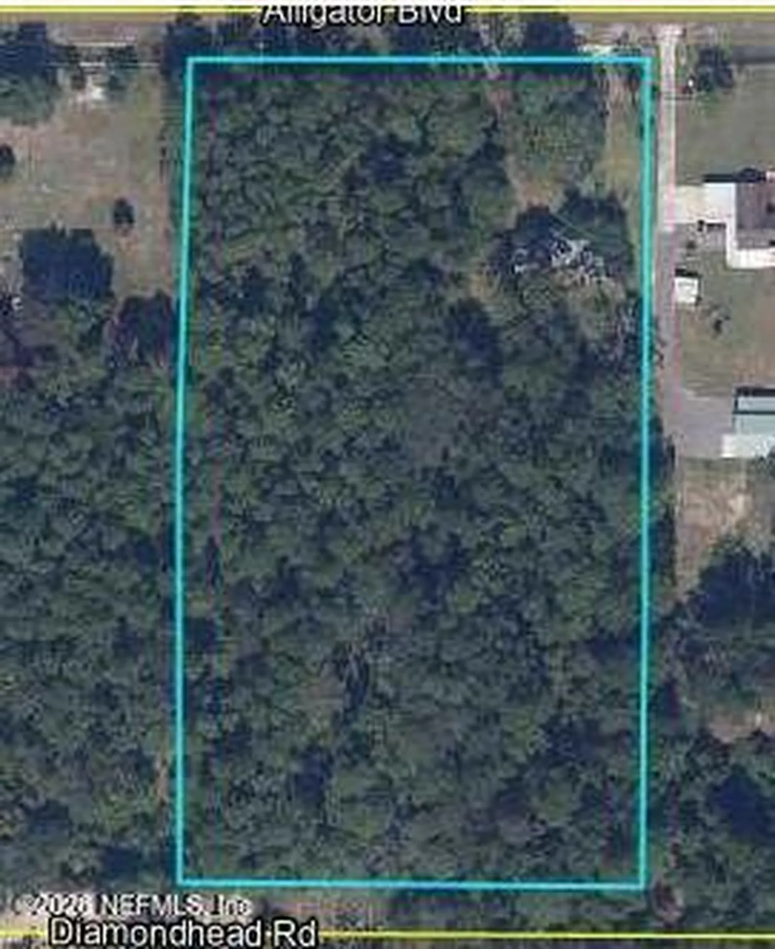 4843 Alligator Boulevard Middleburg FL 32068